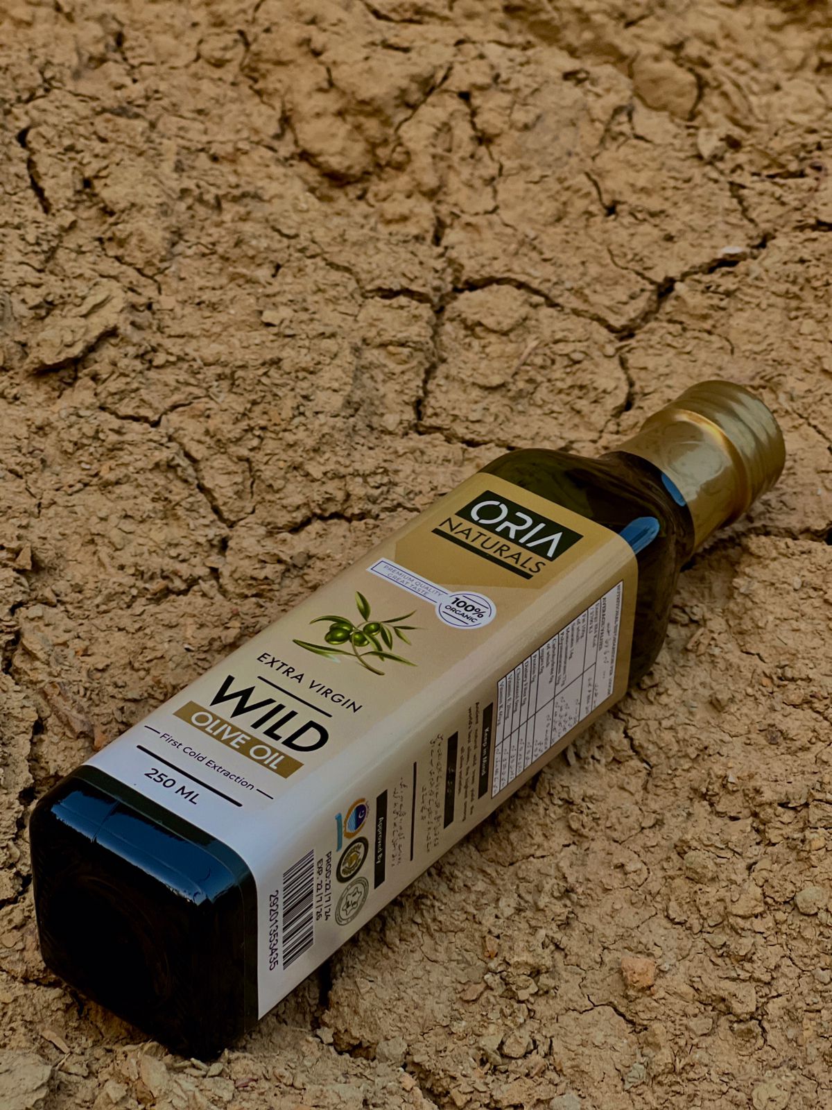 Wild olive oil bottle