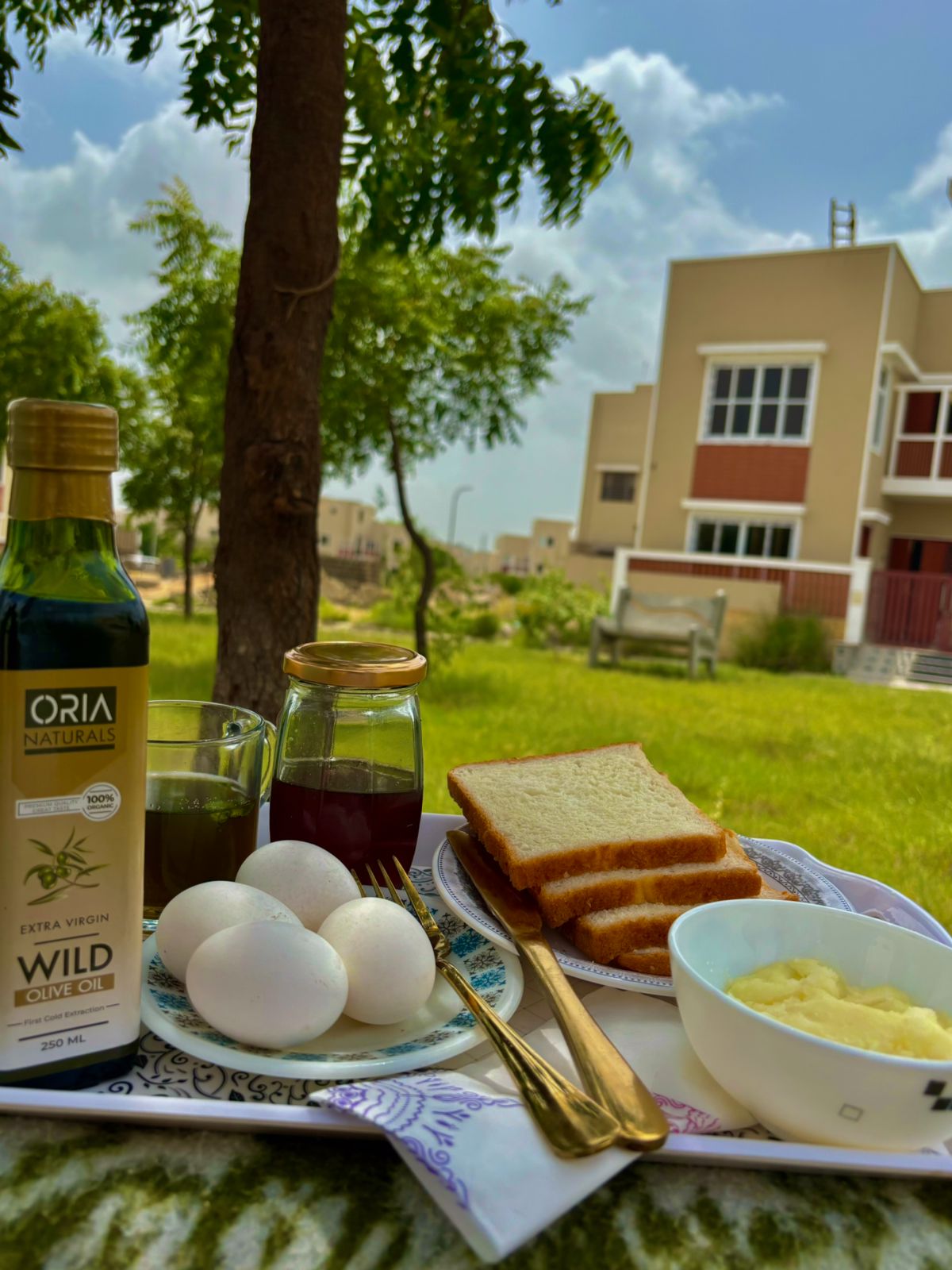 Wild olive oil from Waziristan, Pakistan – Oria Natural