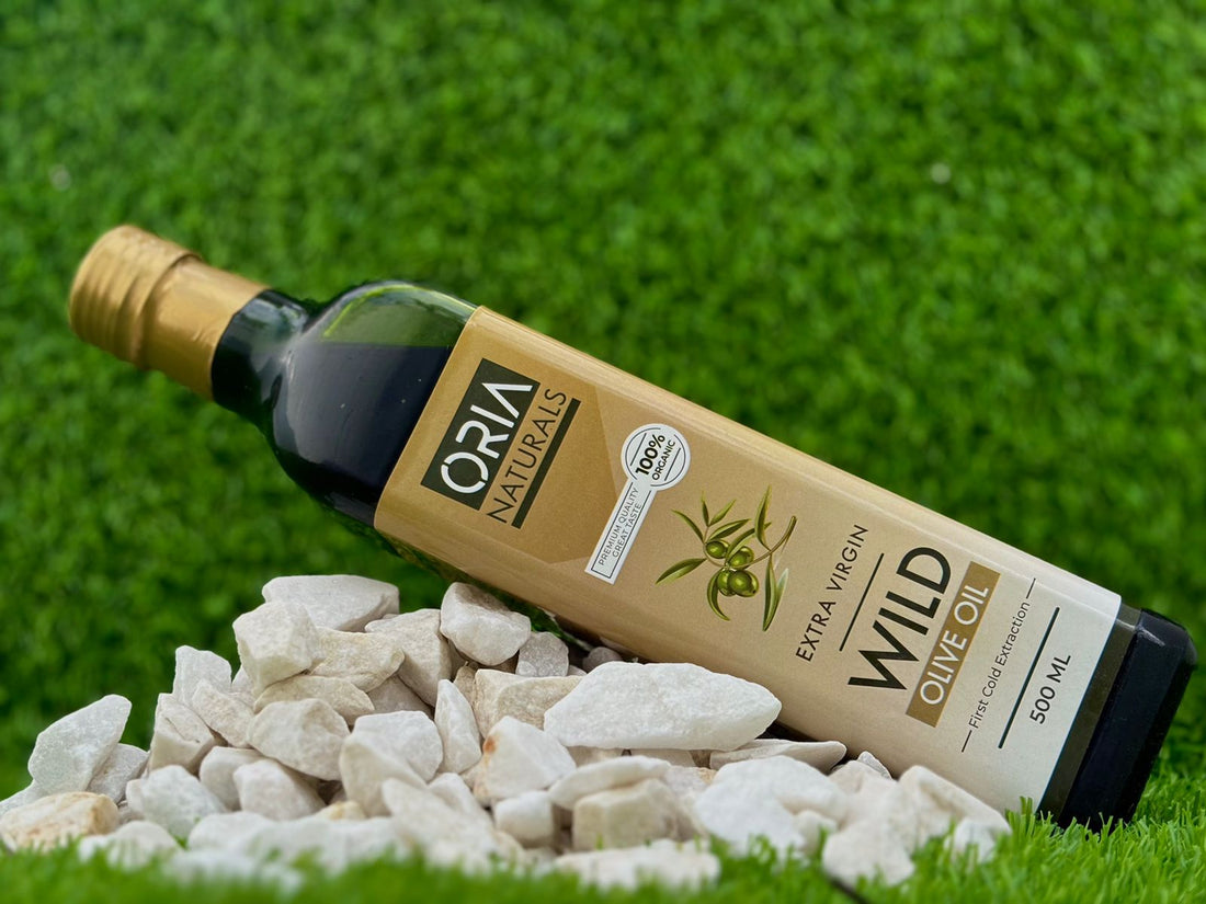 Wild Olive Oil from Waziristan – Cold-Pressed Extra Virgin Oil