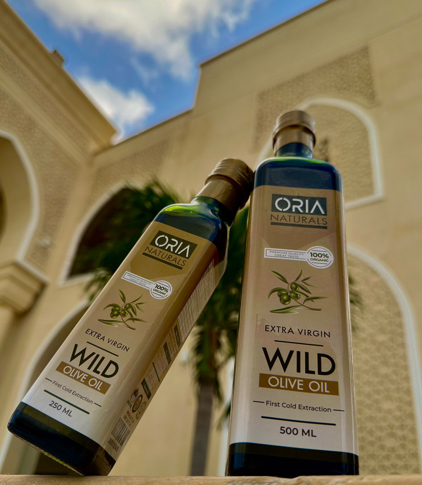 Olive oil of waziristan,pakistan